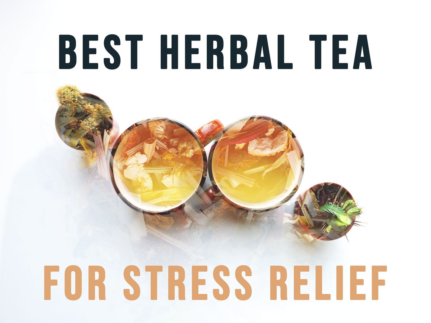 Best herbal teas for promoting relaxation and stress relief